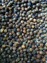 Artisan workers sorting premium black peppercorns with care.