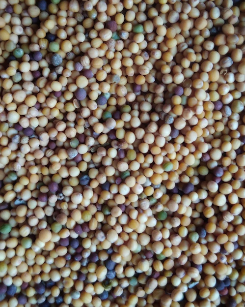 a large amount of food that is in a bowl