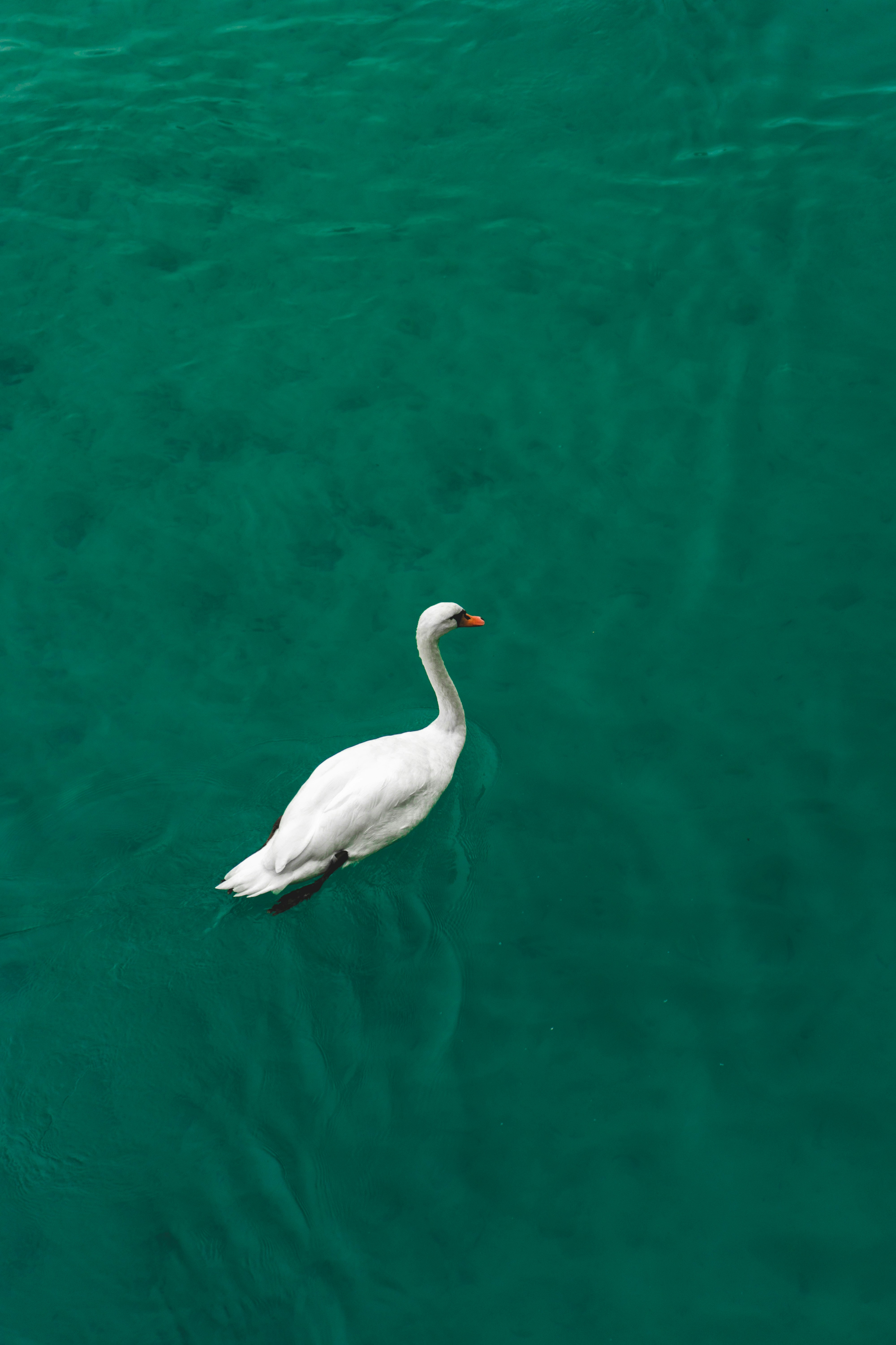 Photo by virussinside