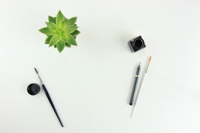 An artist’s workspace featuring paintbrushes, sketches, and a calming green plant nearby.