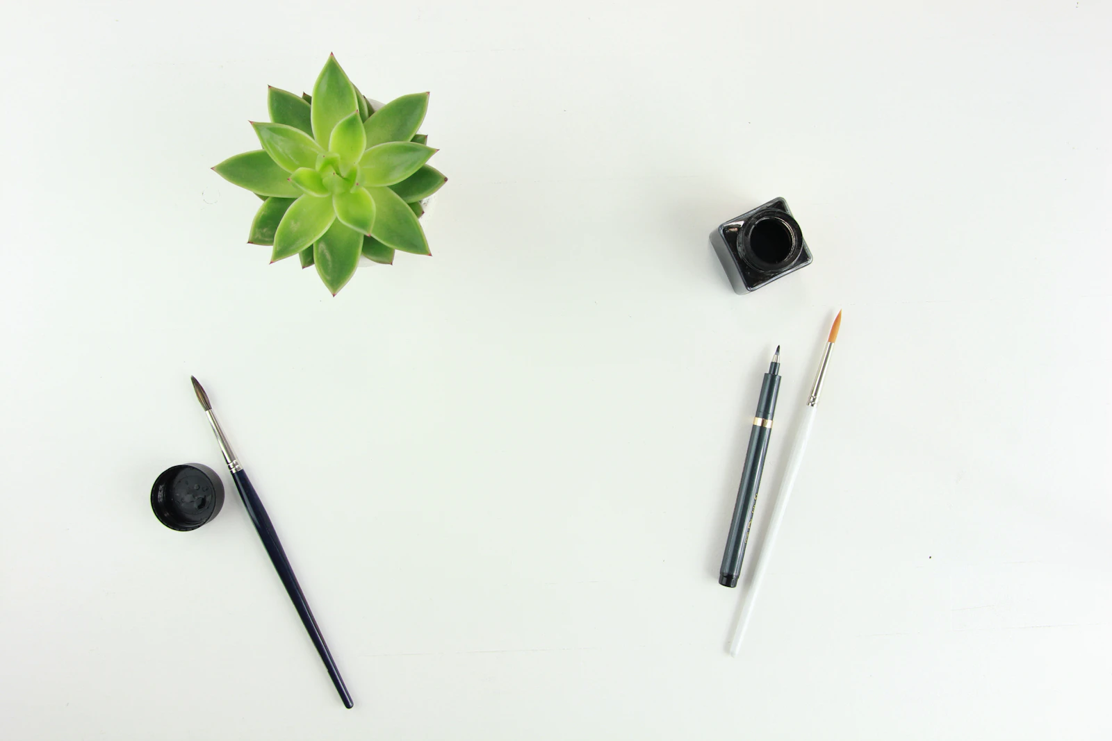 A green succulent with a few carefully chosen pens, brushes and ink on a clean white surface