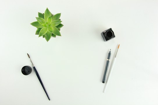 A minimalistic arrangement featuring a green succulent plant at the top left, an open ink bottle and a black pen at the top right, and two brushes lying horizontally across a white background, conveying an artistic workspace theme.