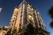 low angle photo of buildings