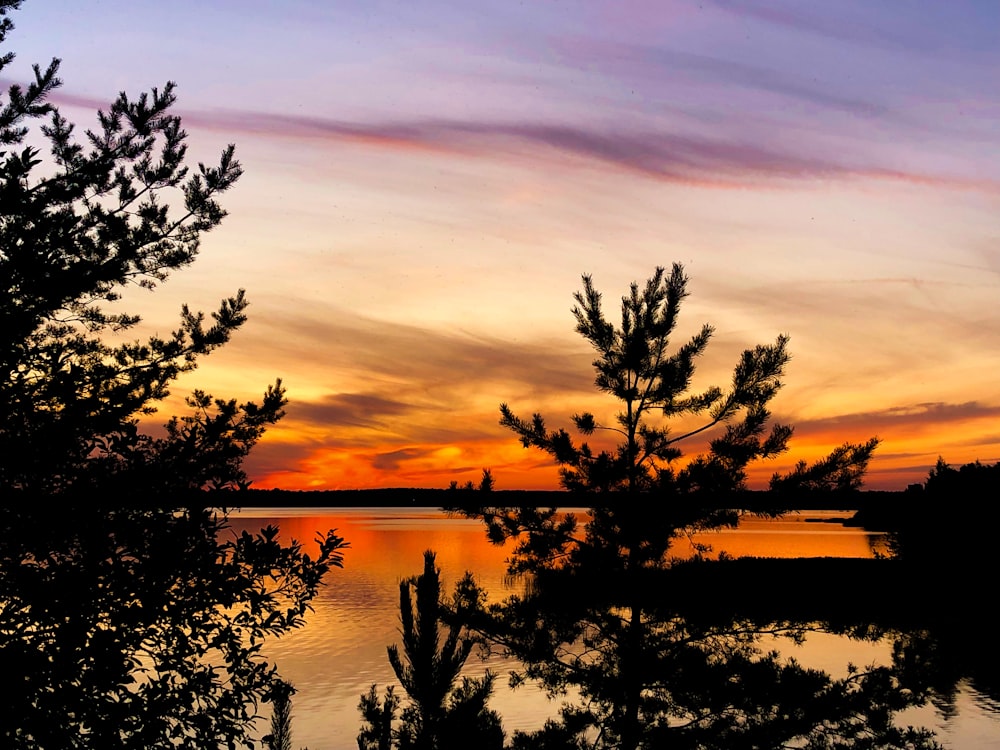 a sunset over a body of water with trees in the foreground