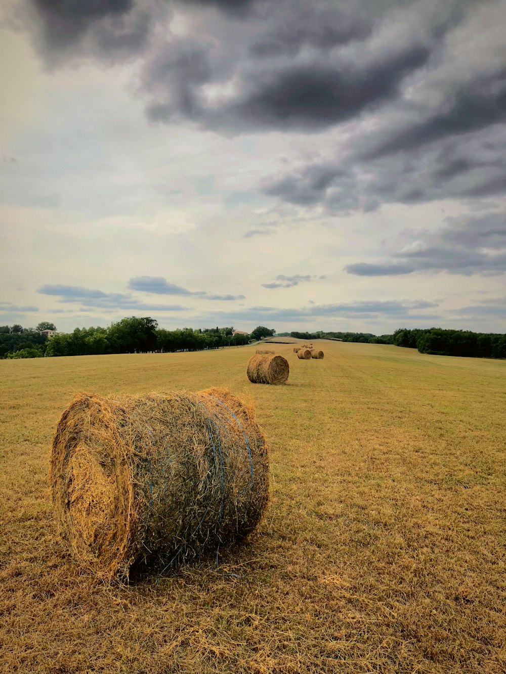 hay bale