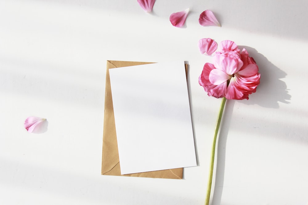 white bond paper beside pink petaled flower