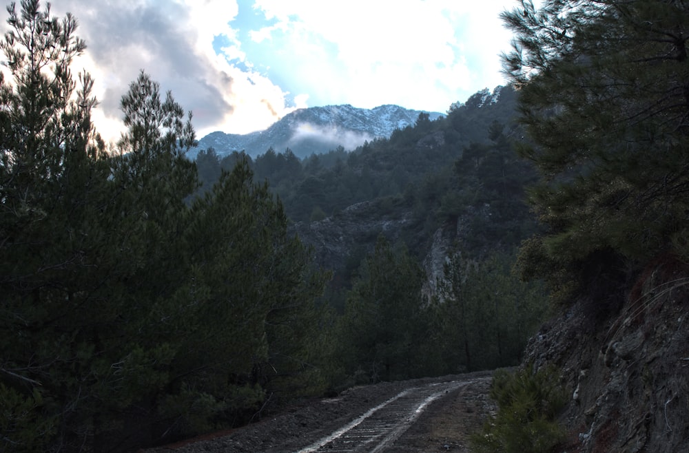 unpaved road near cliff