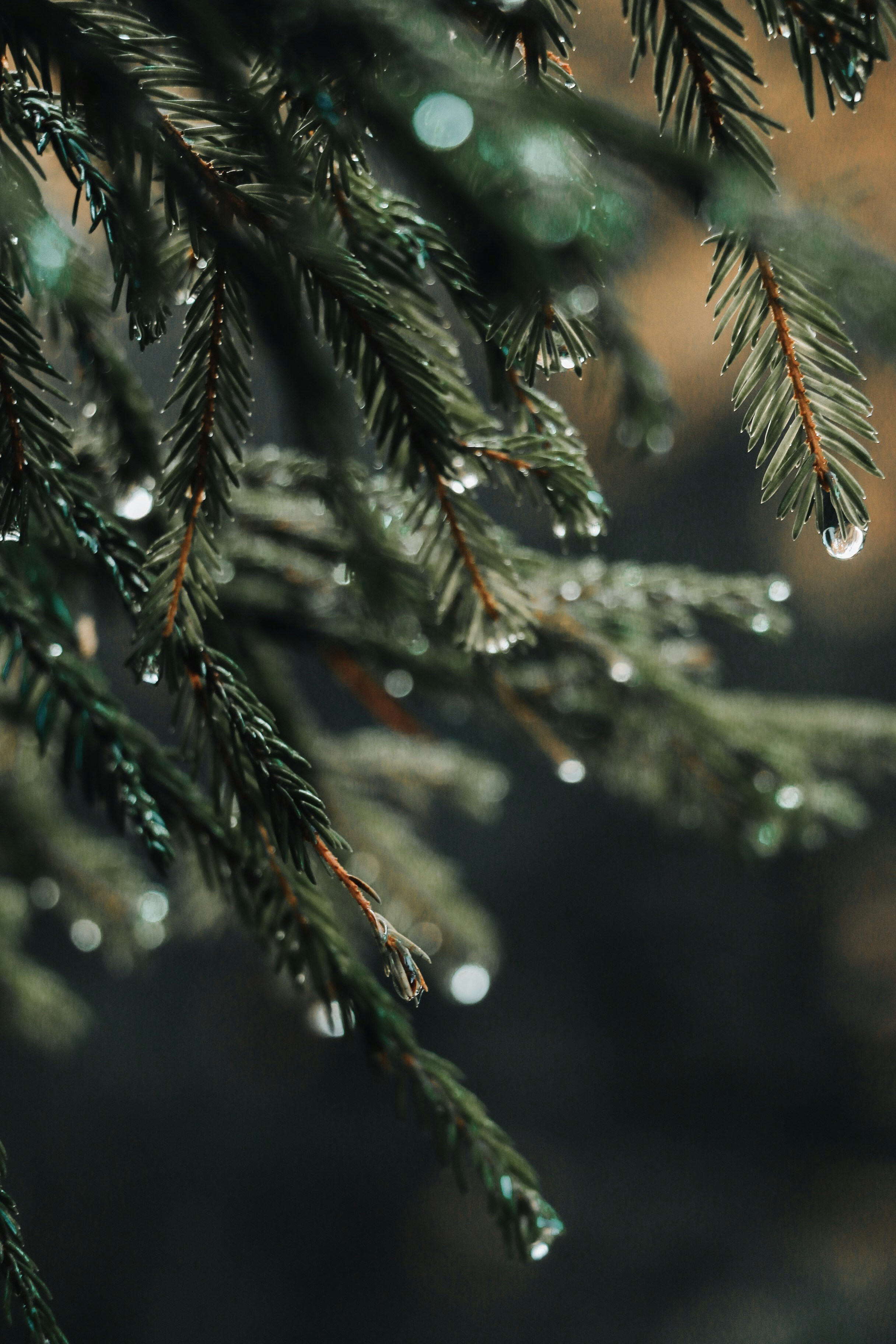 Photo by thatgirlalina