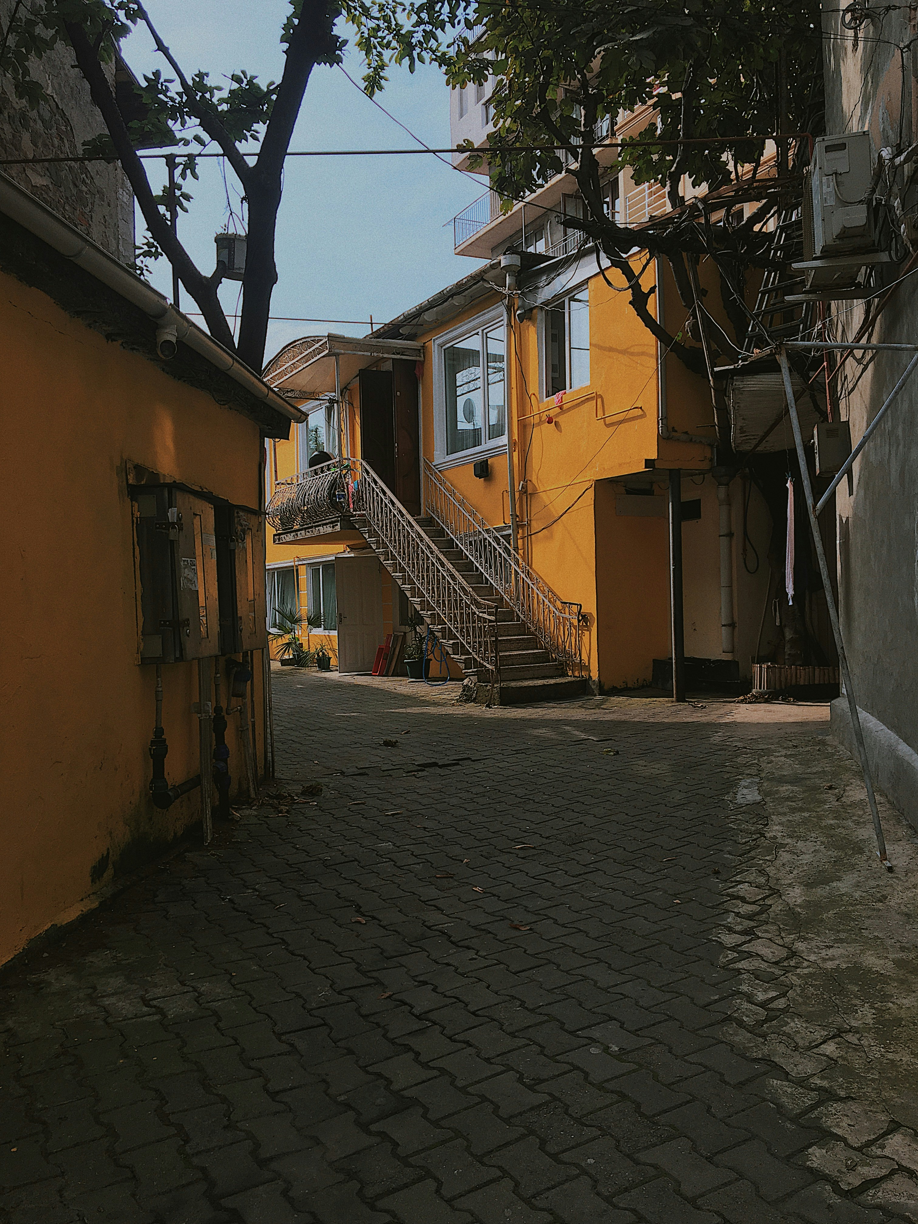 Photo by artemivanchencko