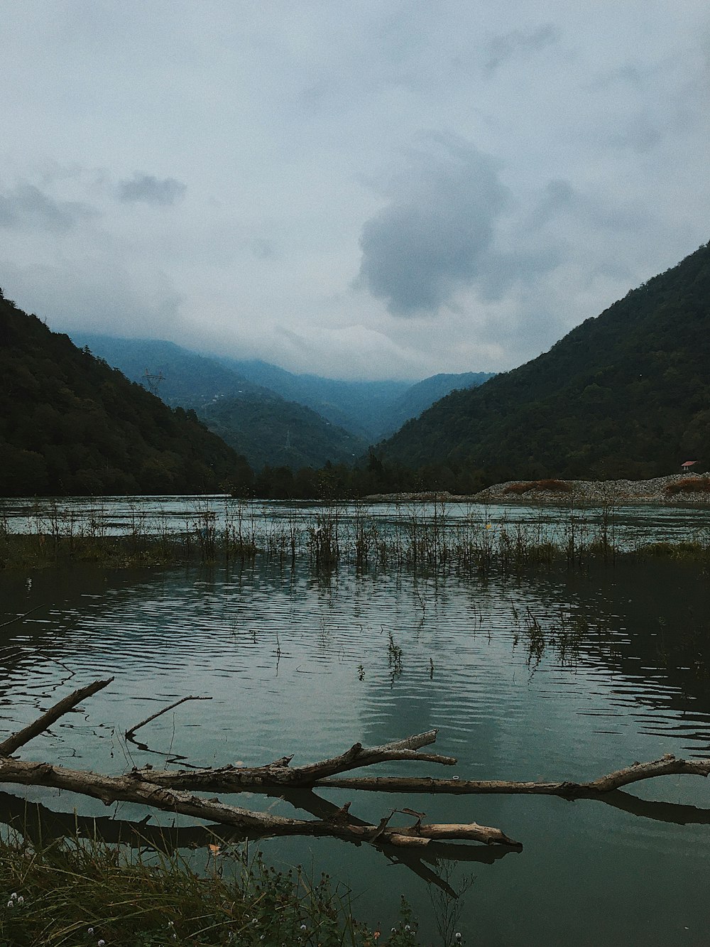 잔잔한 수역 옆의 산