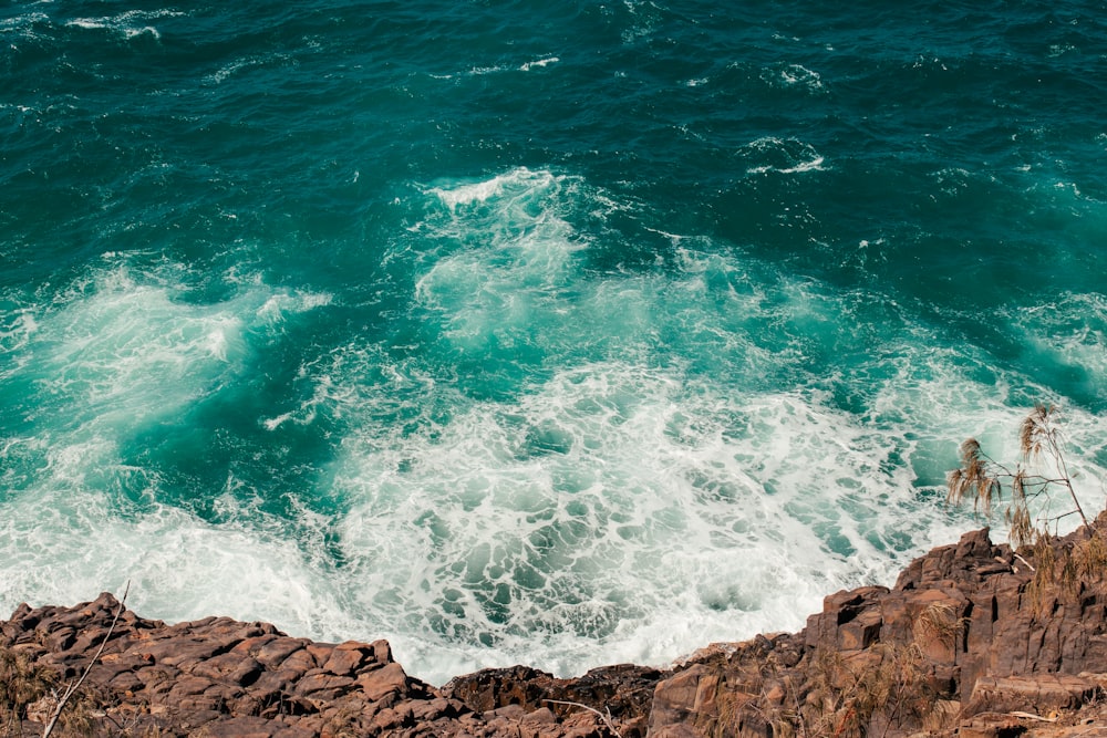 falaise près de la mer