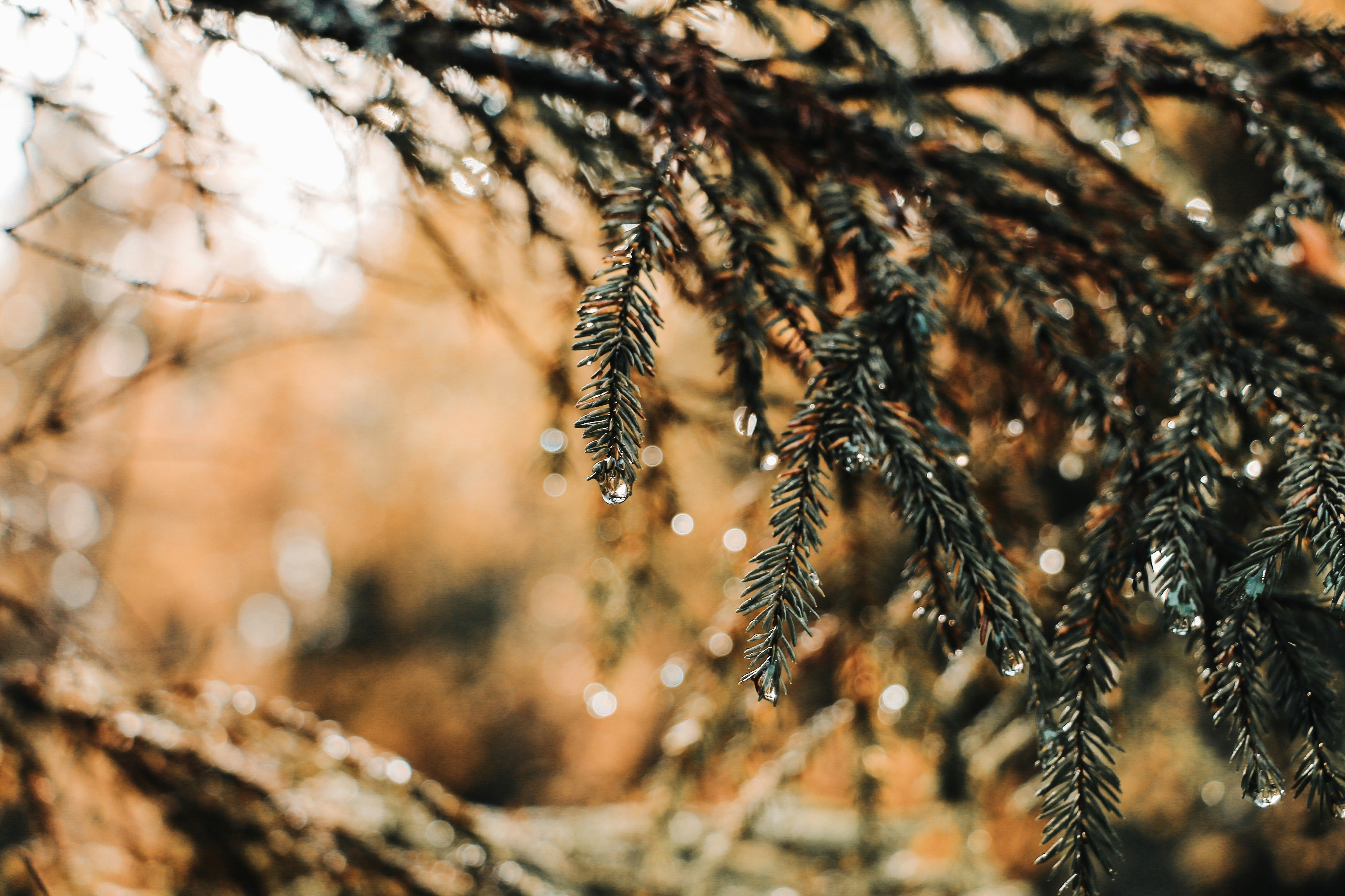 Photo by thatgirlalina