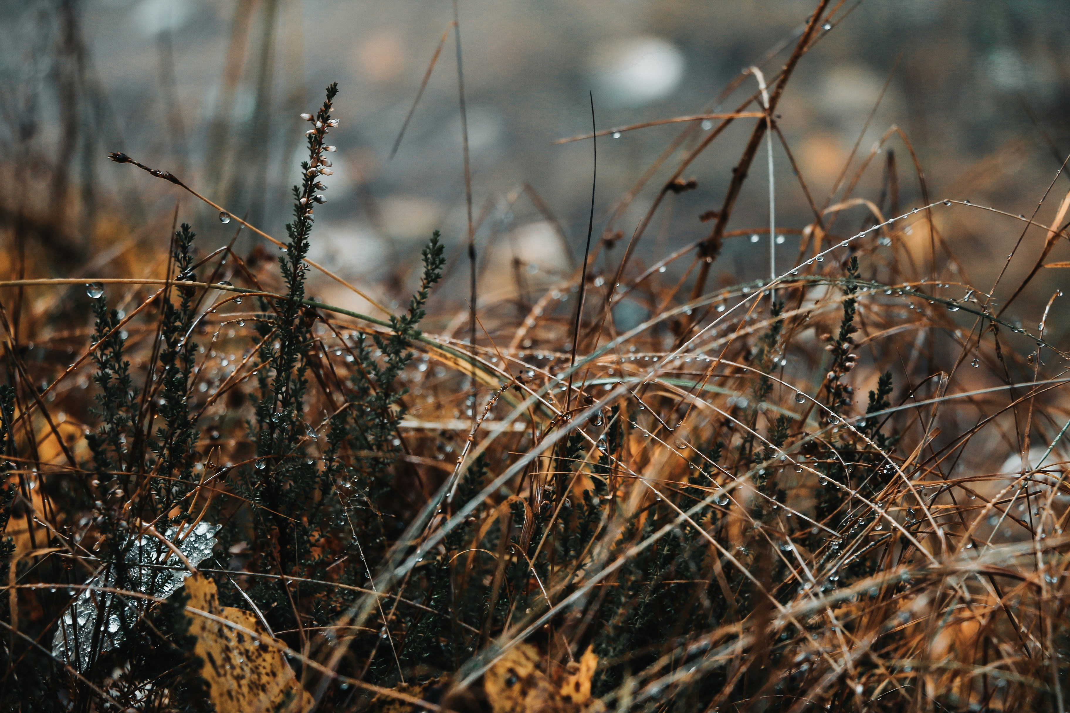 Photo by thatgirlalina