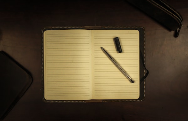 I Kept a Weekly Journal for 4 Months and This Is What I Learned