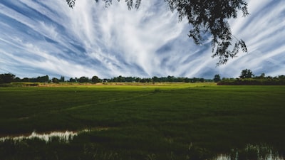 green field under cloudy sky st. paddy's day teams background