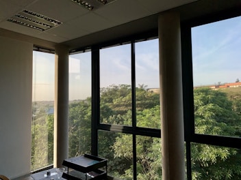 View from the deluxe room window showing nearby greenery and blue sky.