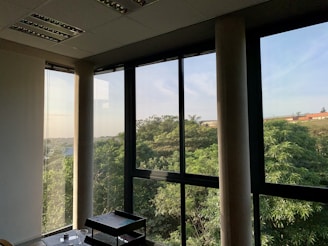 Bright morning view from a guest room window overlooking greenery.