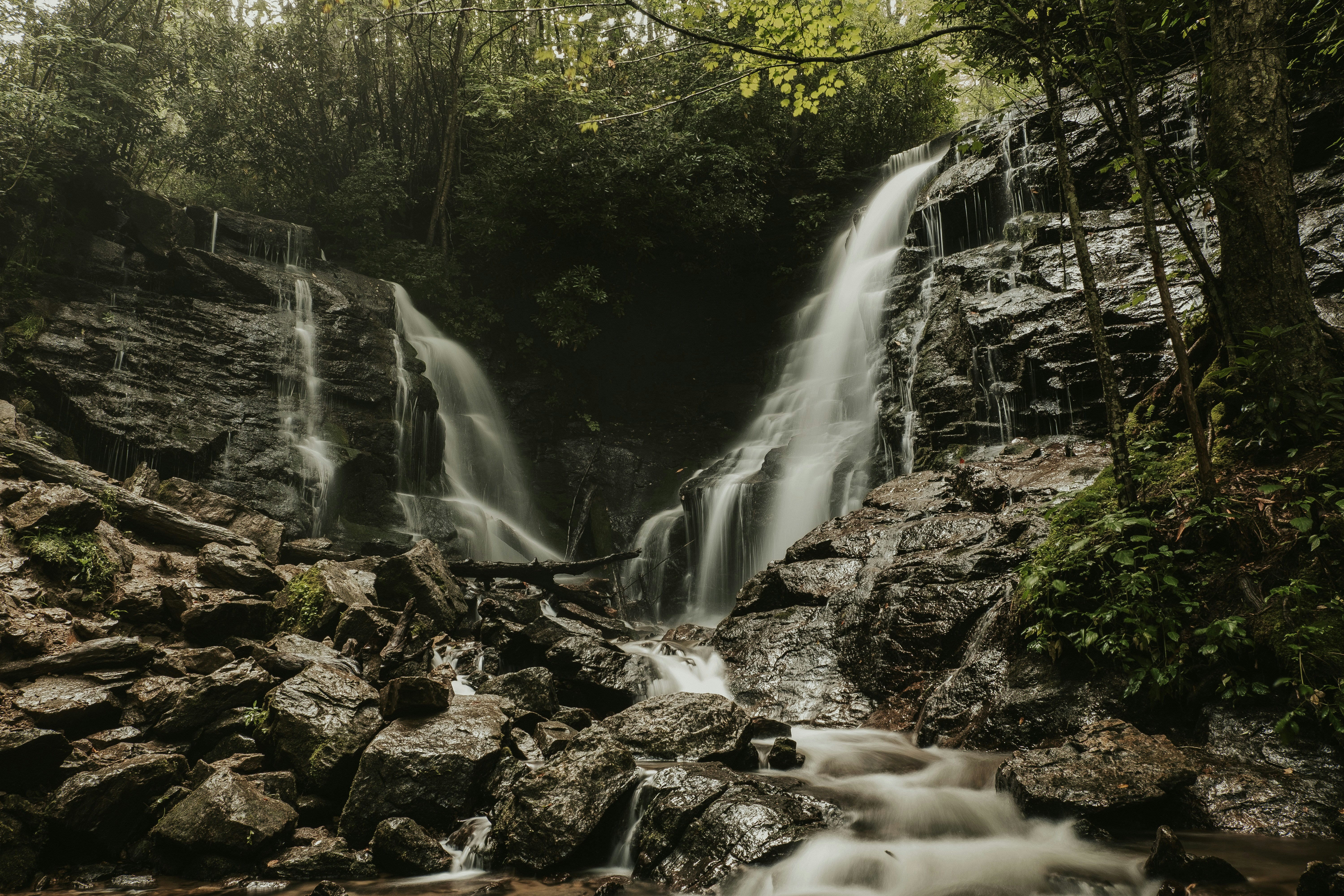 Photo by joshherreraphoto