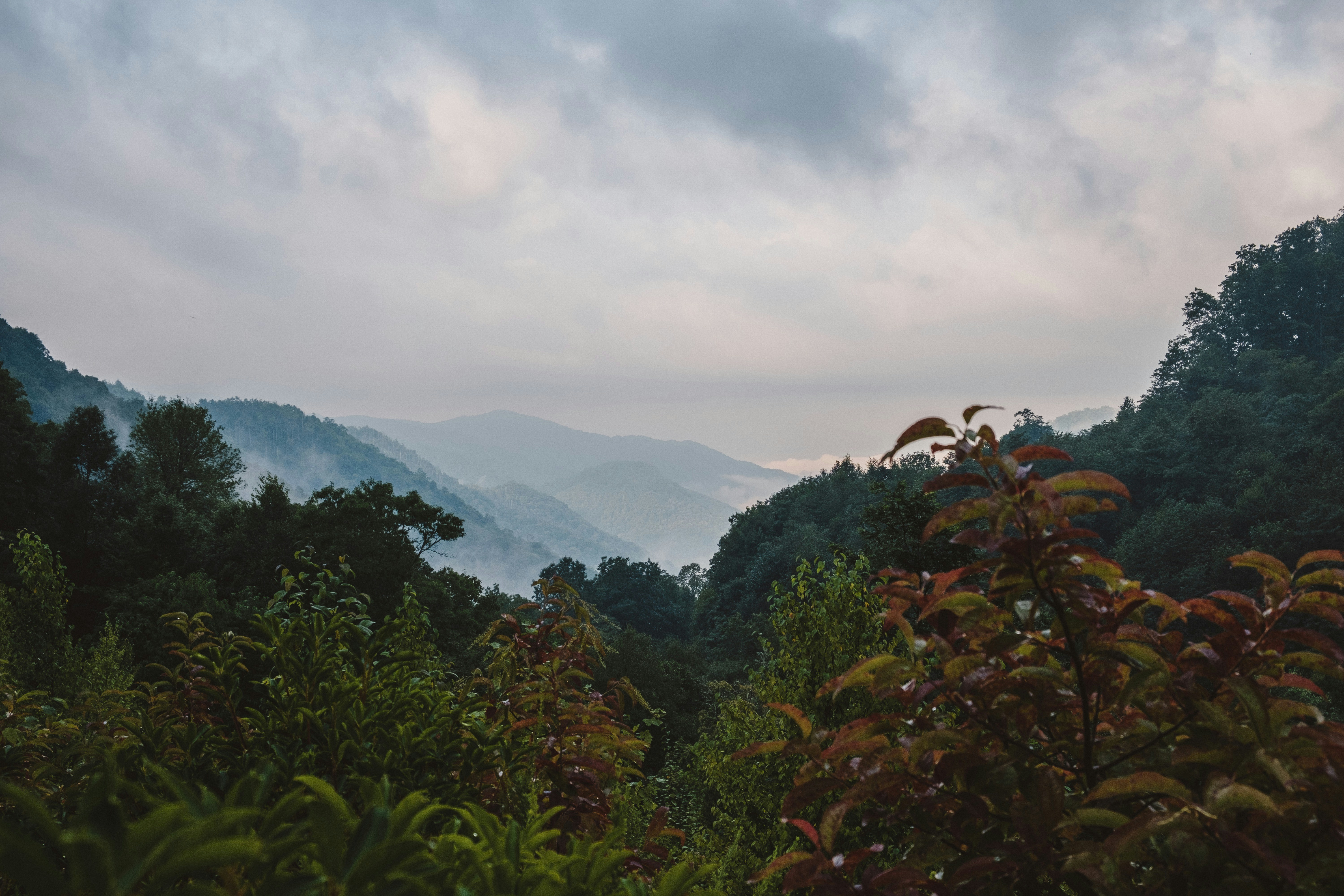 Photo by joshherreraphoto