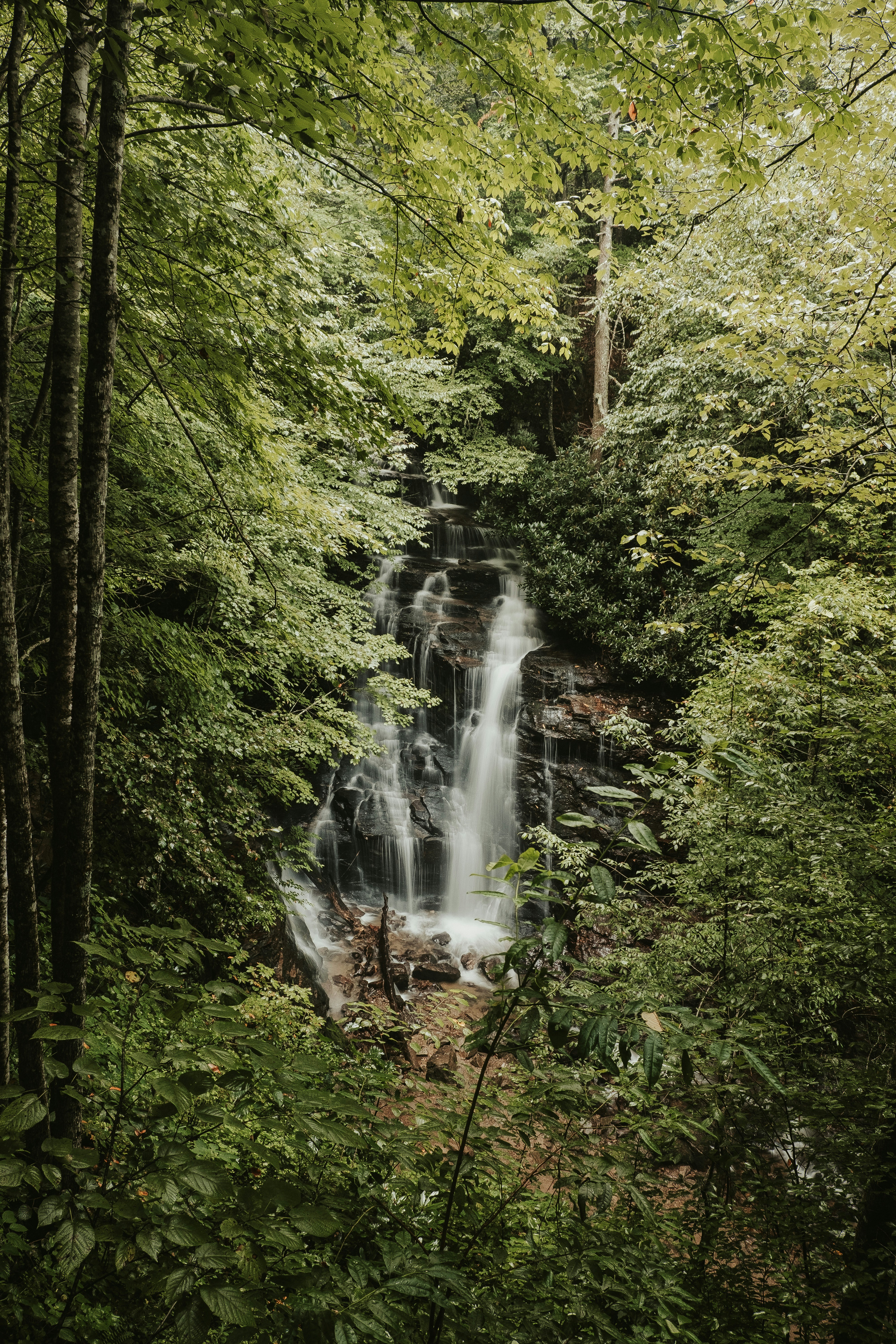 Photo by joshherreraphoto