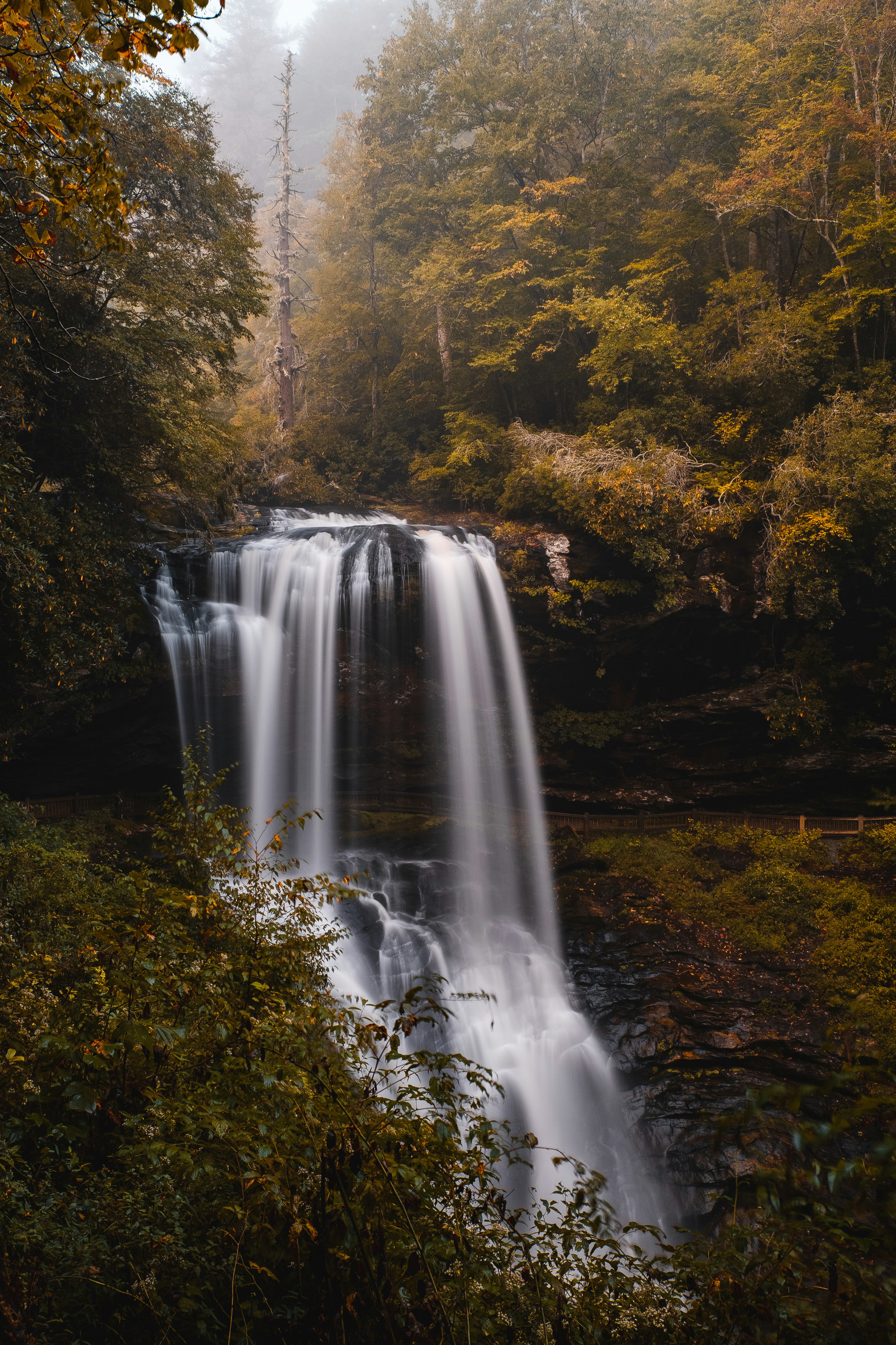waterfalls between trees