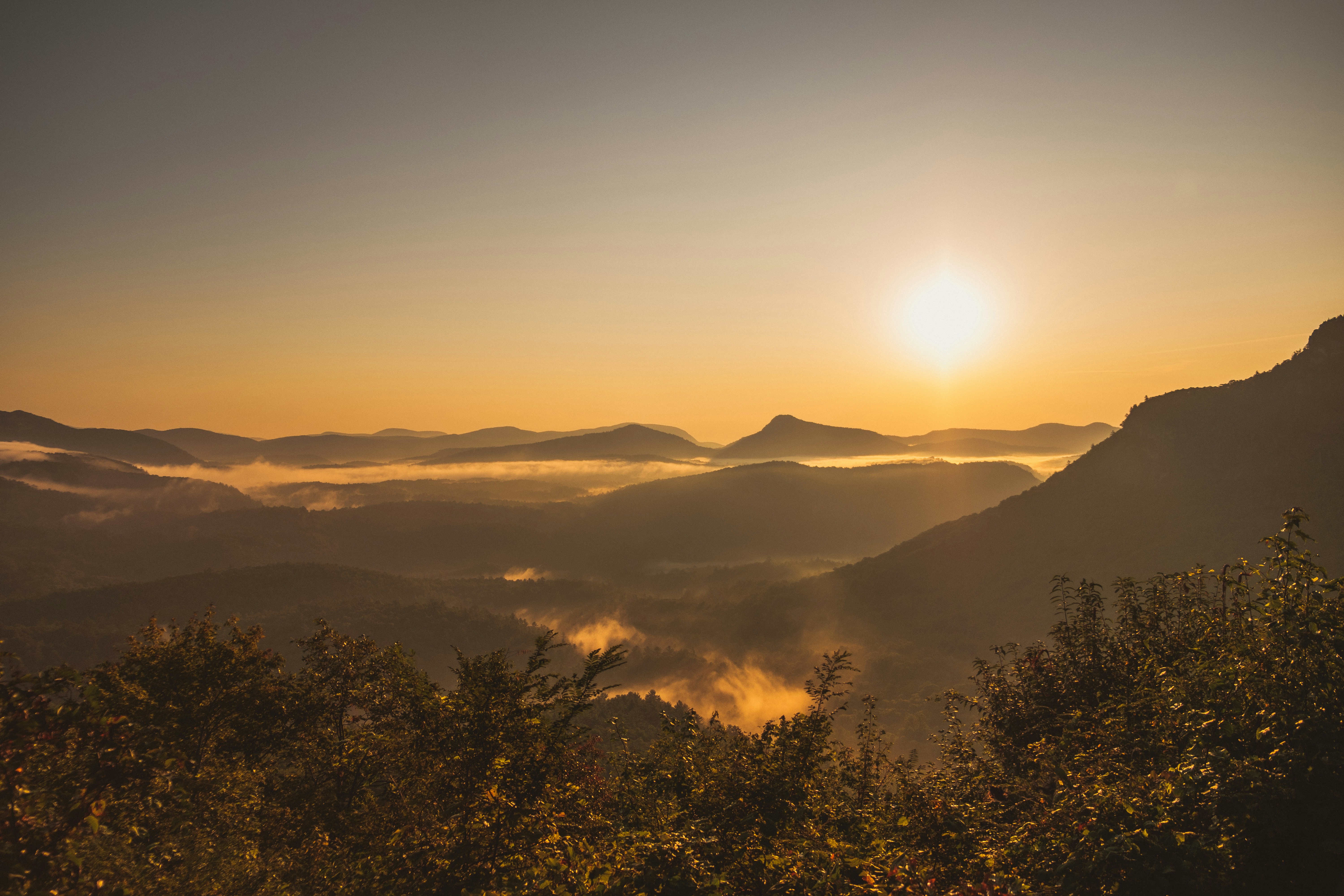 Photo by joshherreraphoto