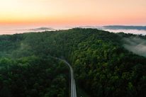 Scenic mountain road winding through lush green forests at sunrise.