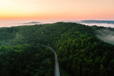 Scenic mountain road winding through lush green forests at sunrise.