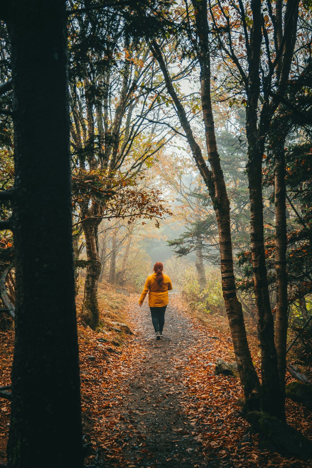 donna che cammina nella foresta