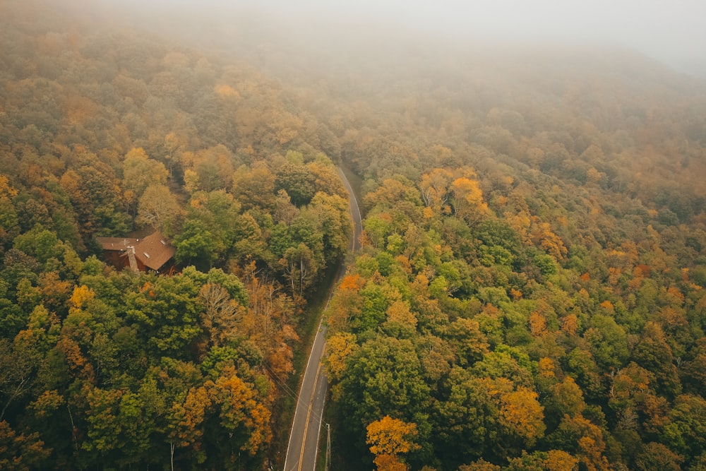 aerial photo of highway