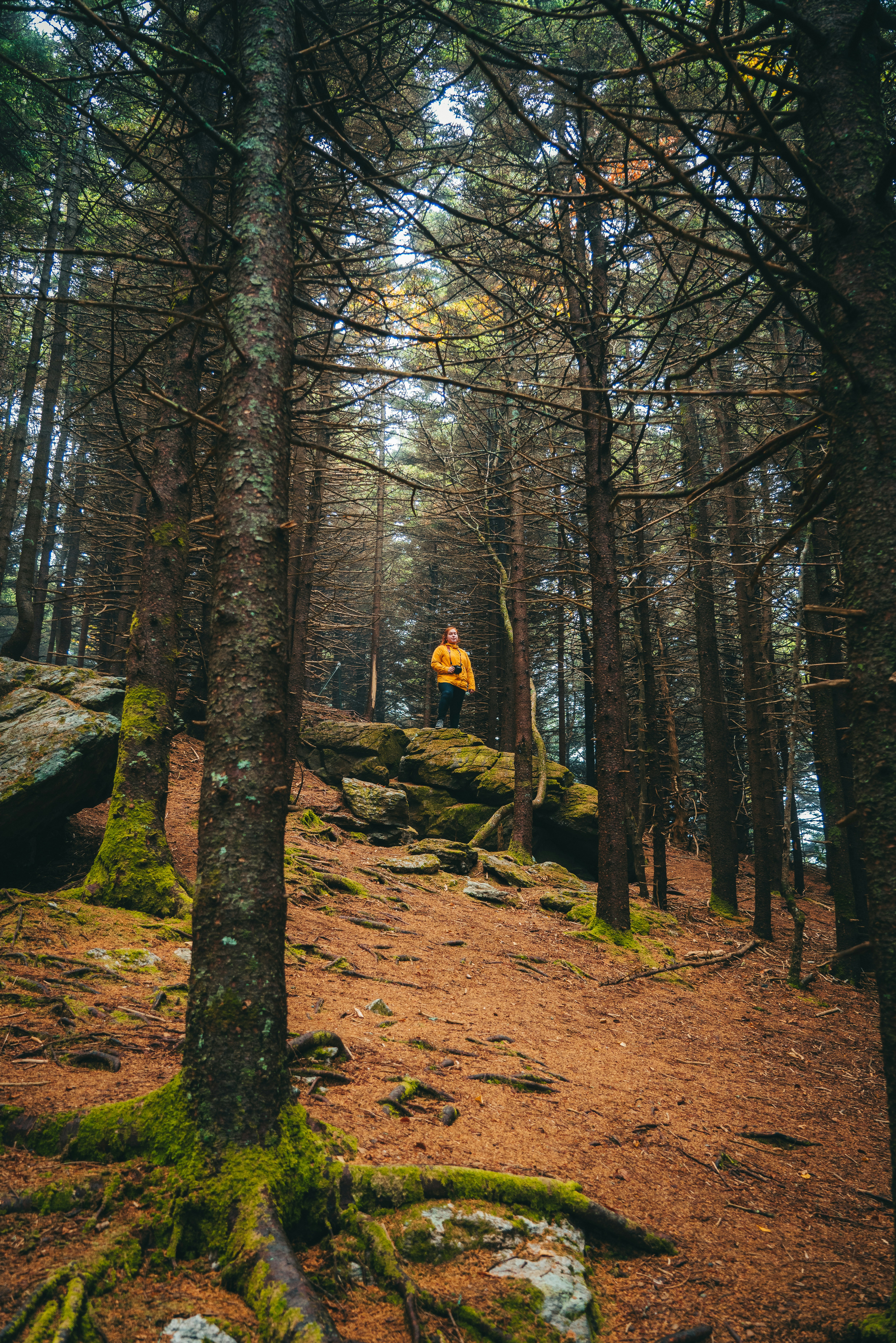 Photo by joshherreraphoto