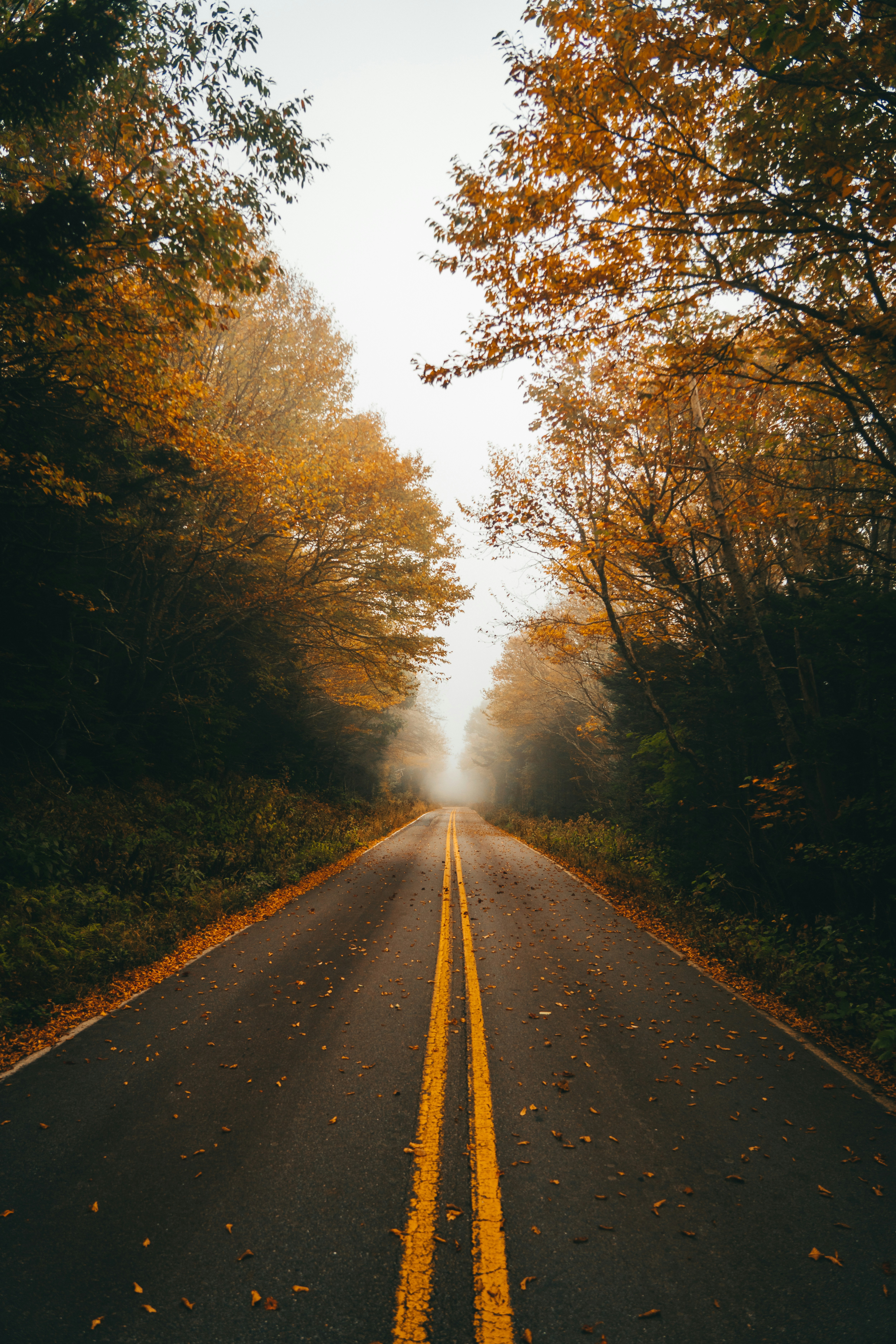 Photo by joshherreraphoto