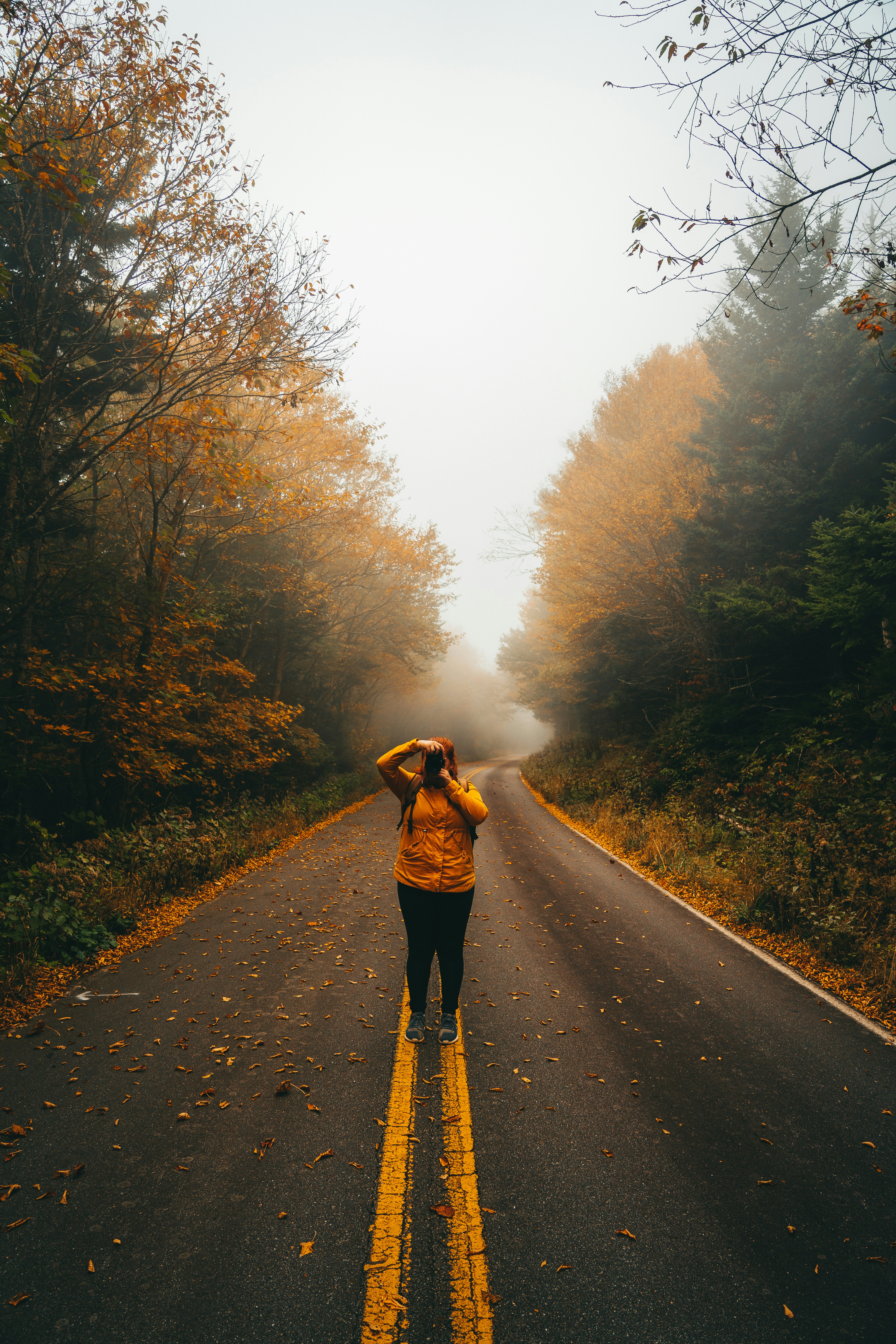 Photo by joshherreraphoto