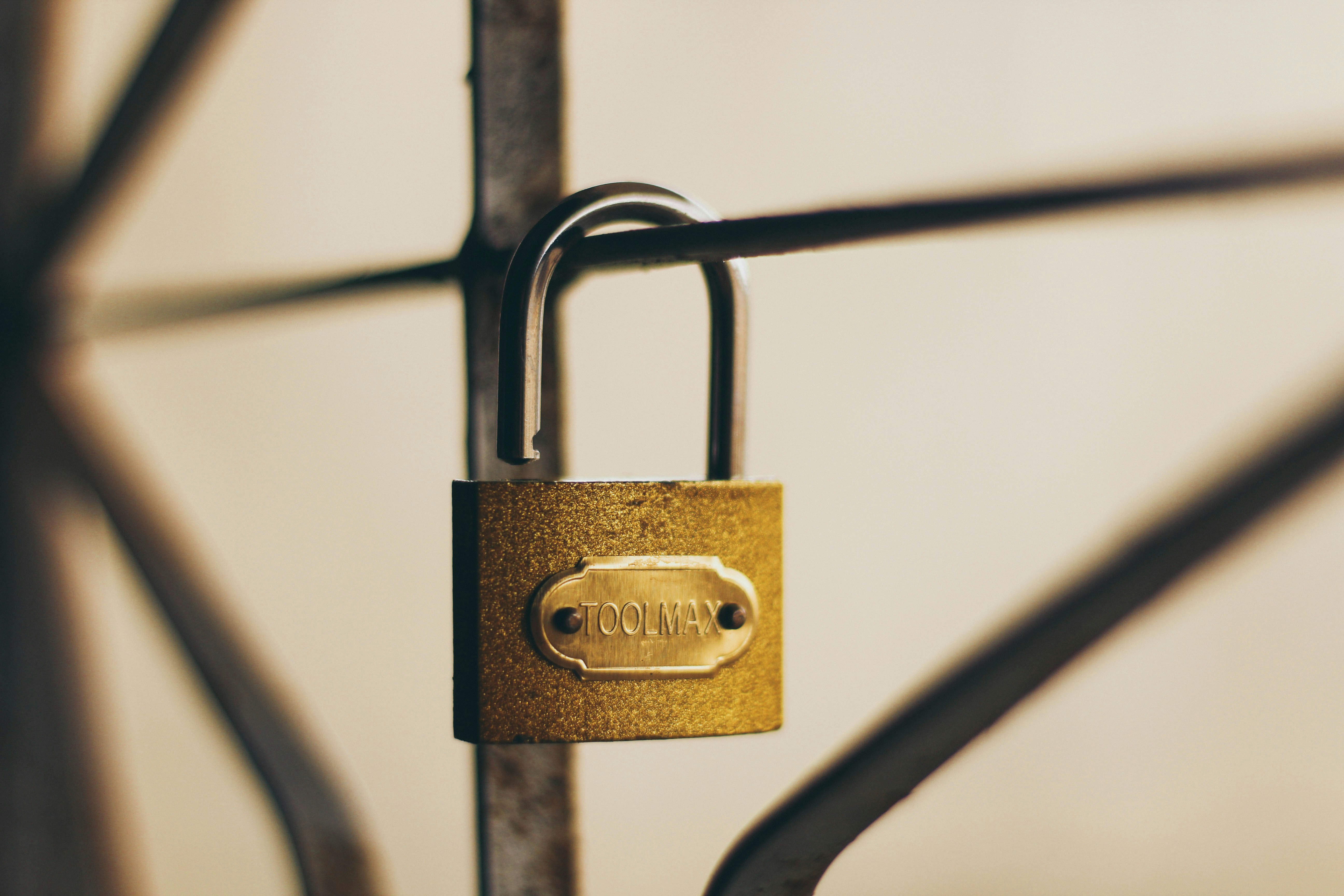 Photo by igorrodrigues