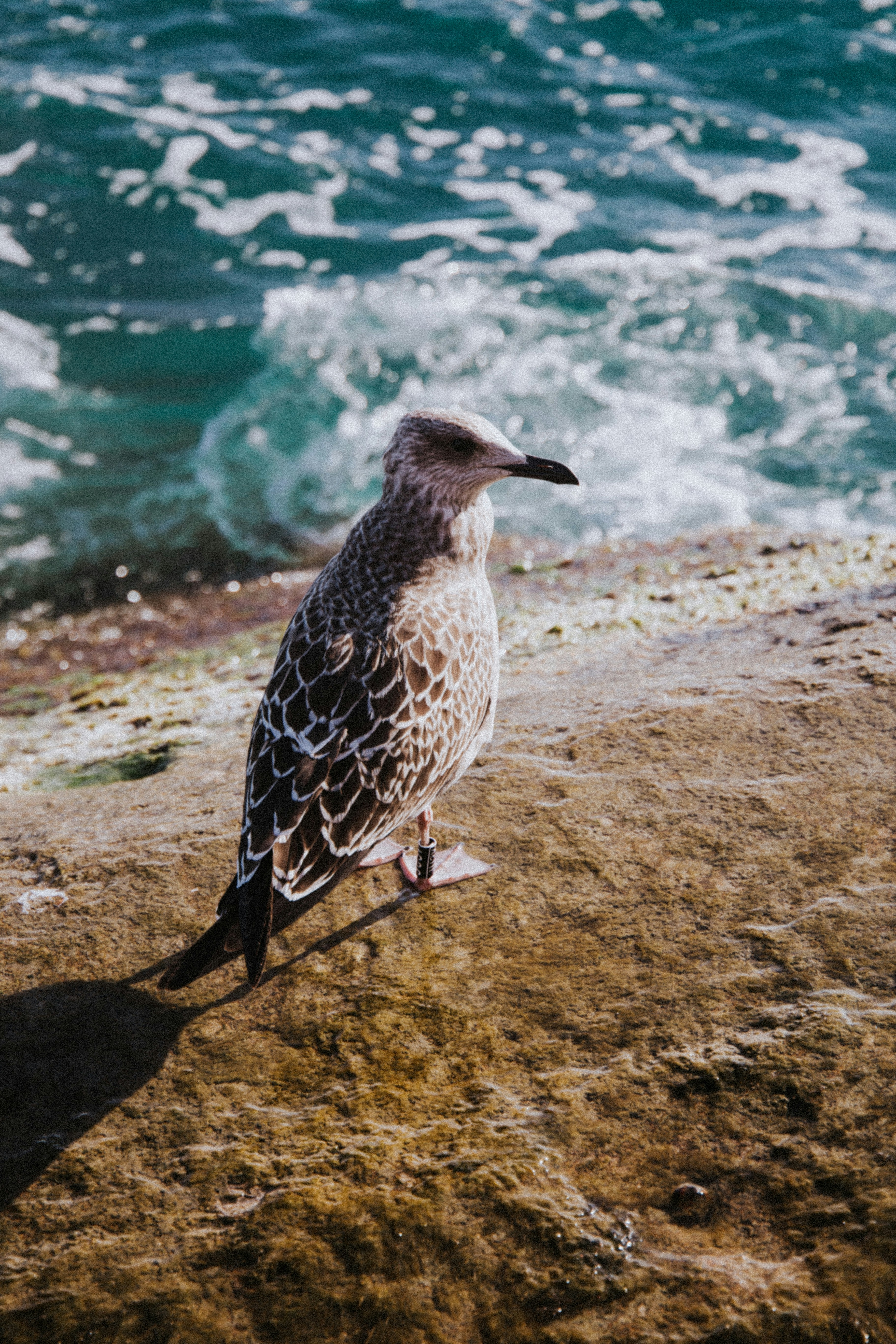 Photo by kkalerry