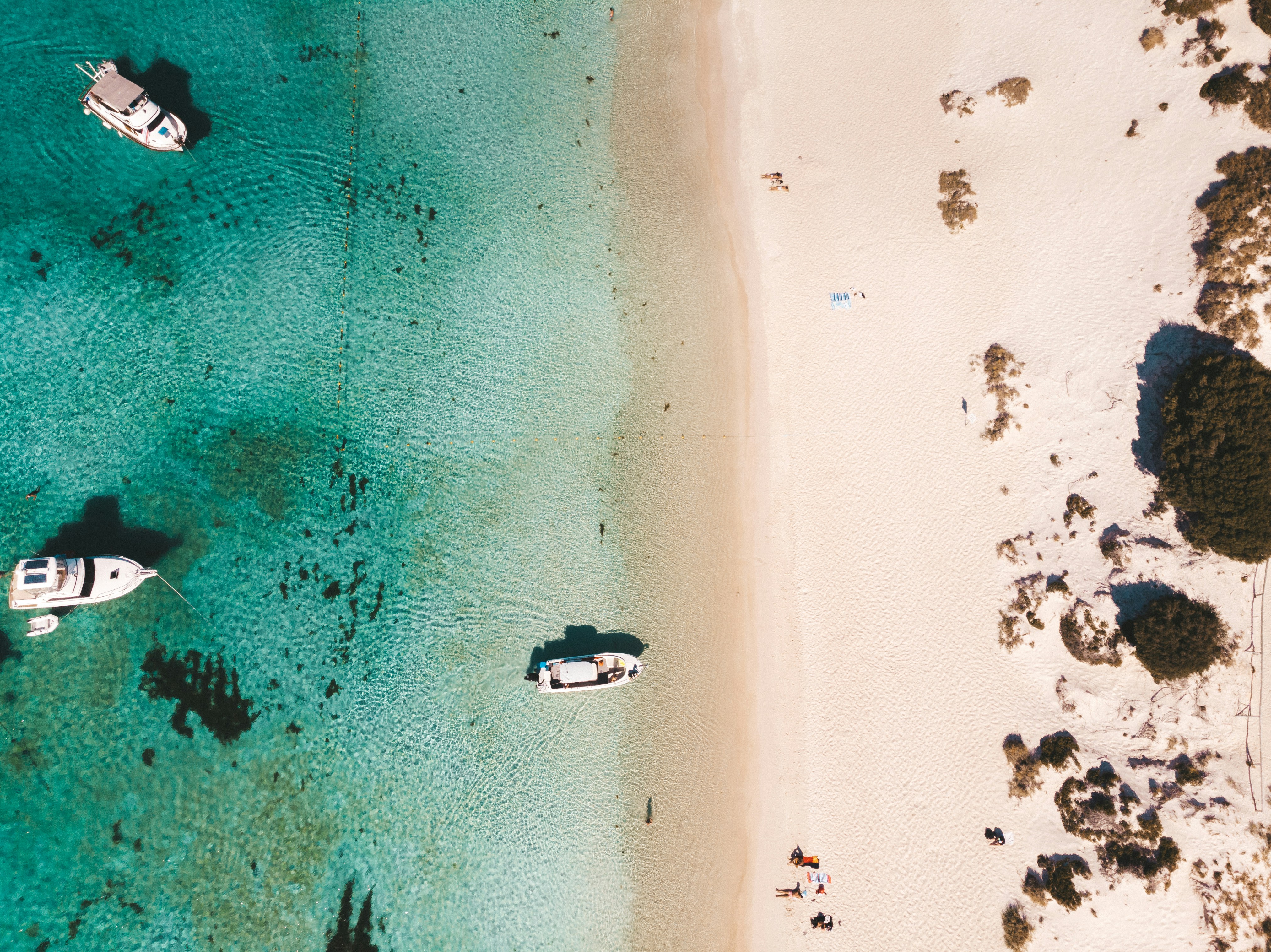 Photo by dylan_alcock