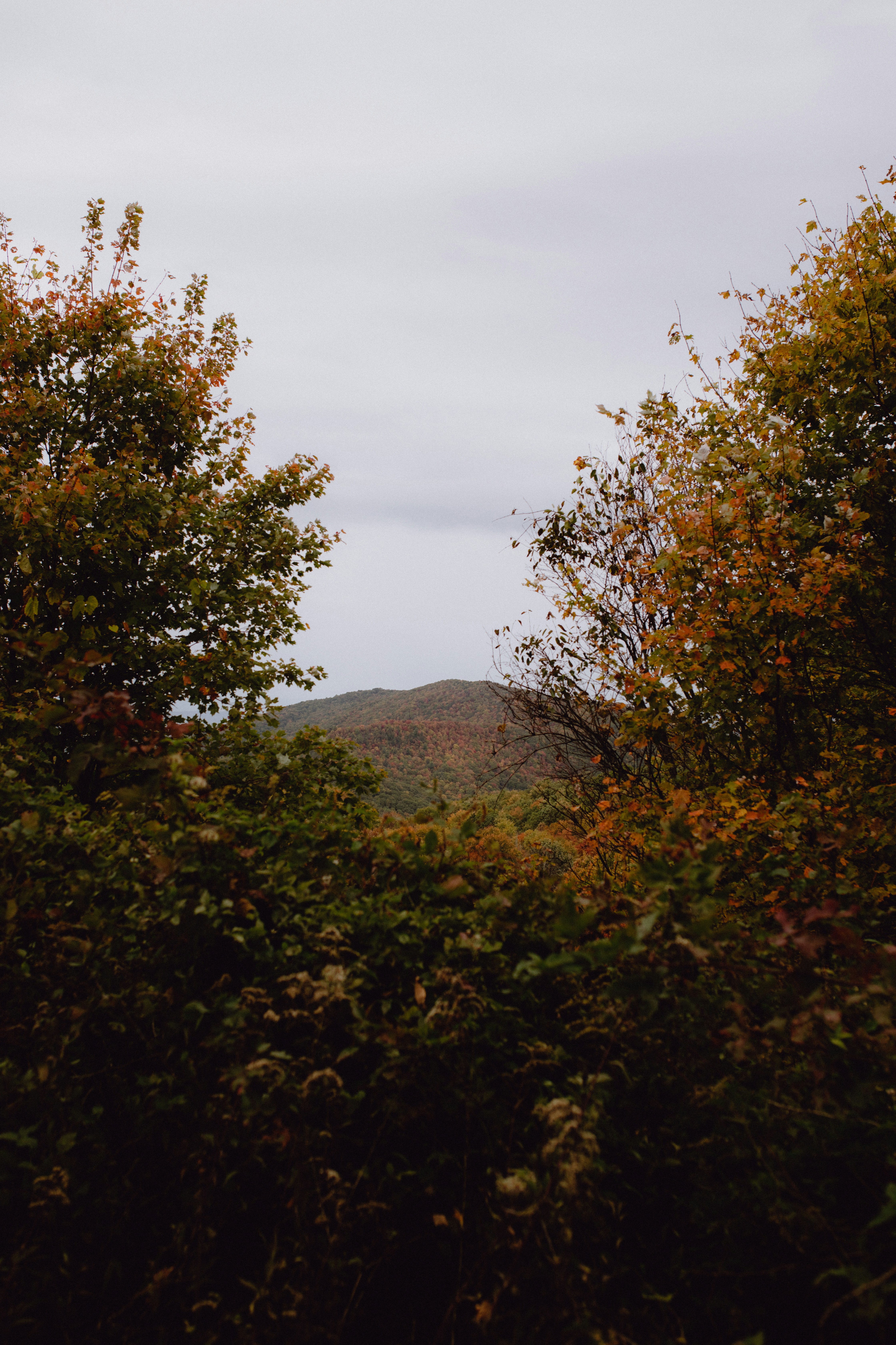 Photo by hayespotter