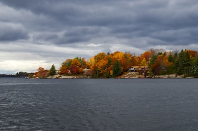 body of water and trees october teams background