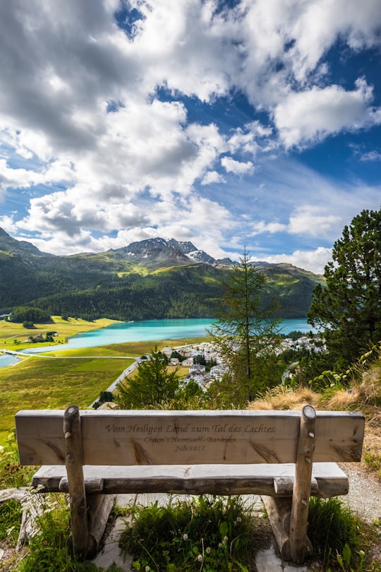 brown wooden bench and green trees in Silvaplana Switzerland