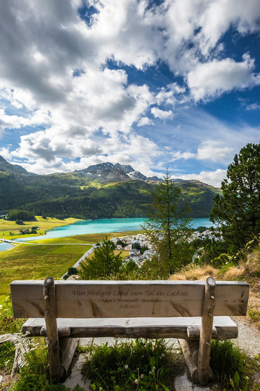 brown wooden bench and green trees