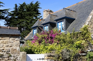 gray and brown concrete house