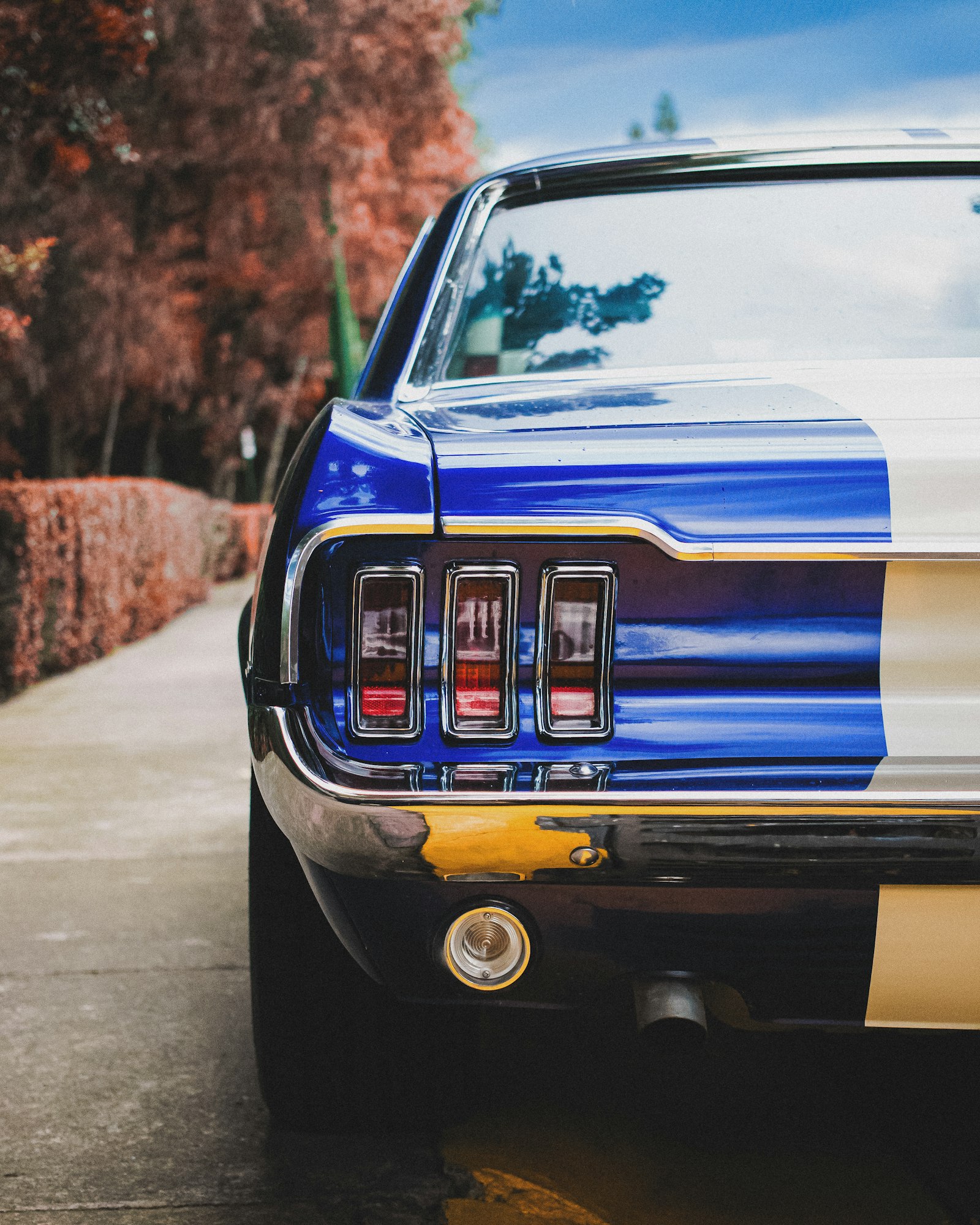 Canon EOS 77D (EOS 9000D / EOS 770D) + Canon EF-S 35mm F2.8 Macro IS STM sample photo. Blue and white car photography