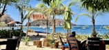 A tropical beach scene with lush palm trees and a wooden sign reading 'PIPAS' hanging overhead. The view extends to a sandy beach where kayaks and boats are seen, along with distant rocky cliffs. Two people are relaxing in lounge chairs under the shade, enjoying the coastal atmosphere.