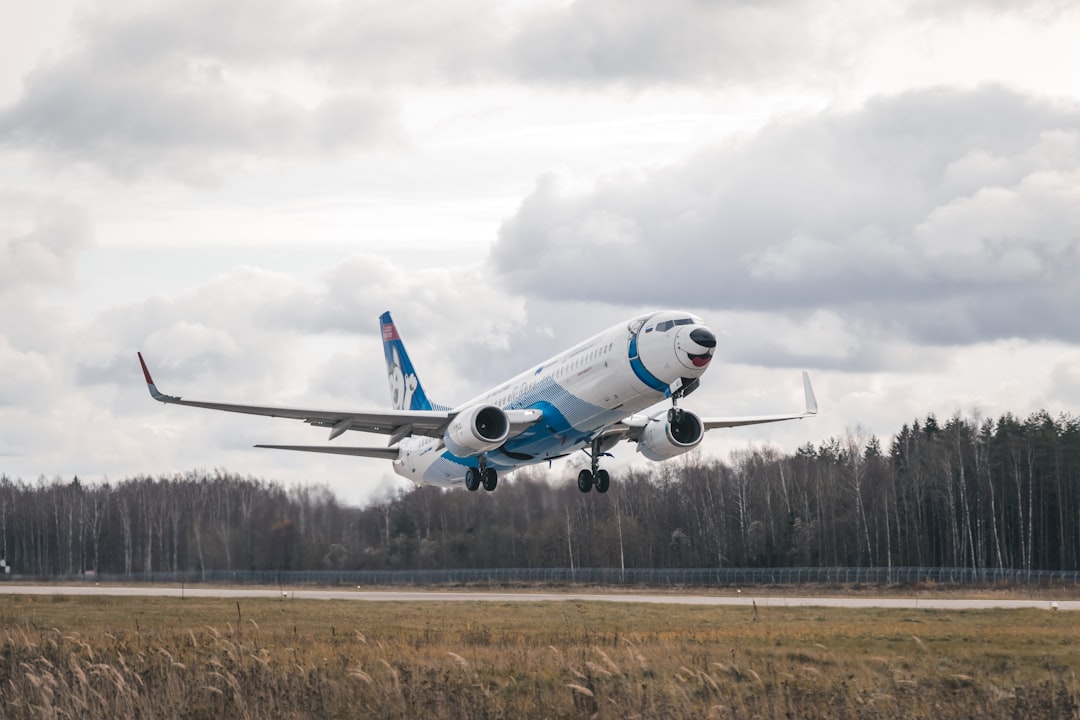 white and blue airplane toy