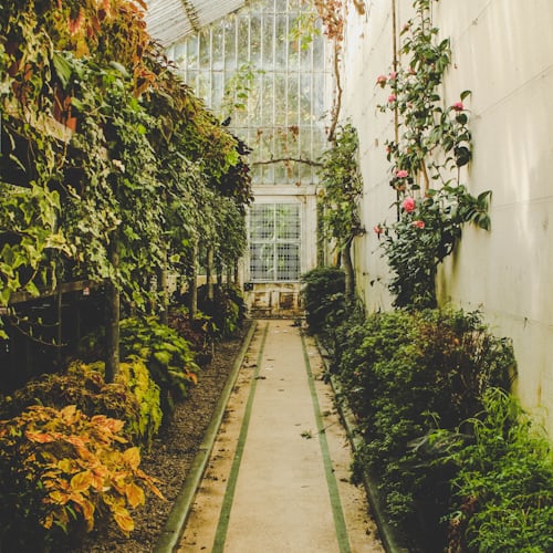 Eternal Garden