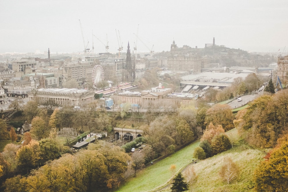 aerial photography of buildings surrounded by trees