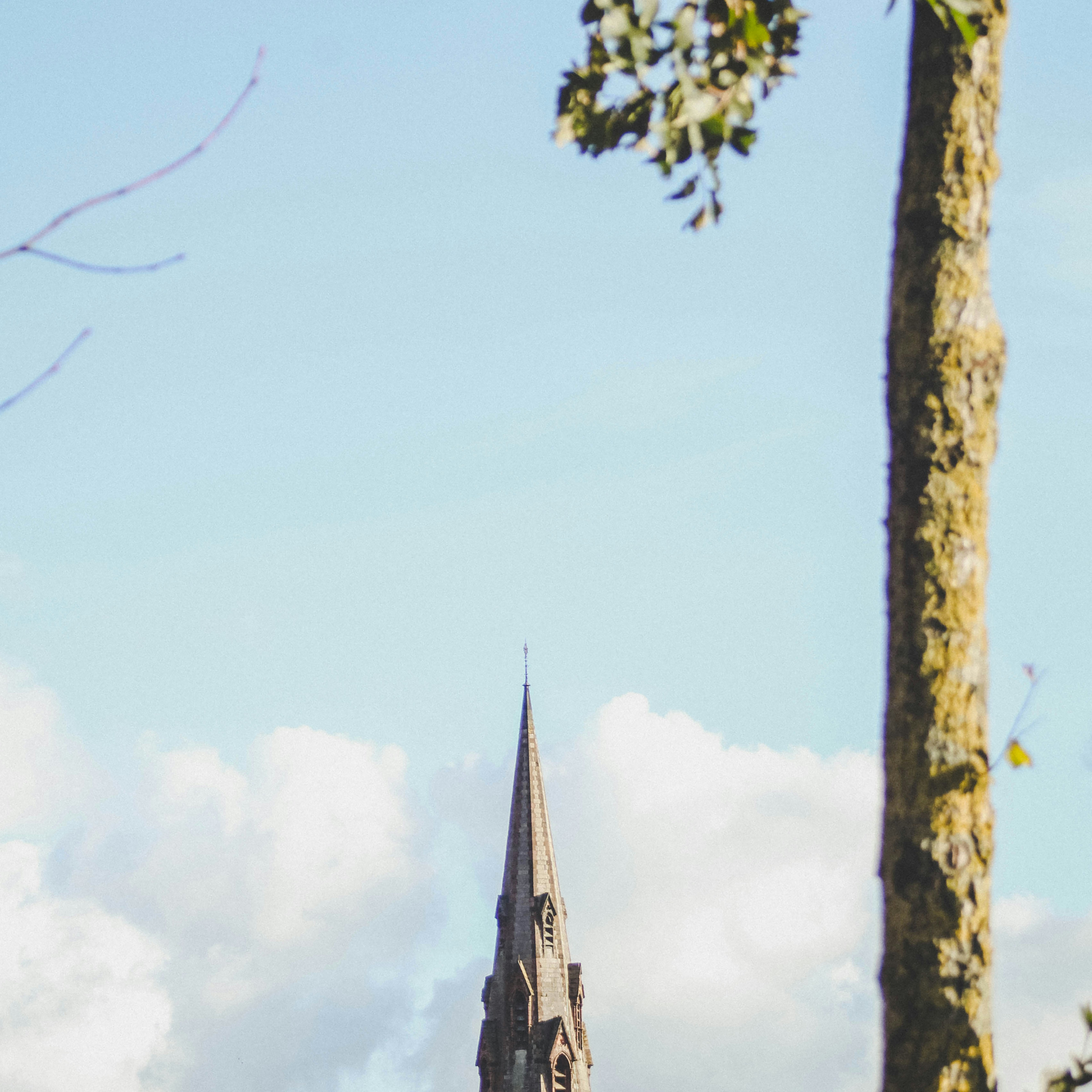 Photo by giorgiotrovato