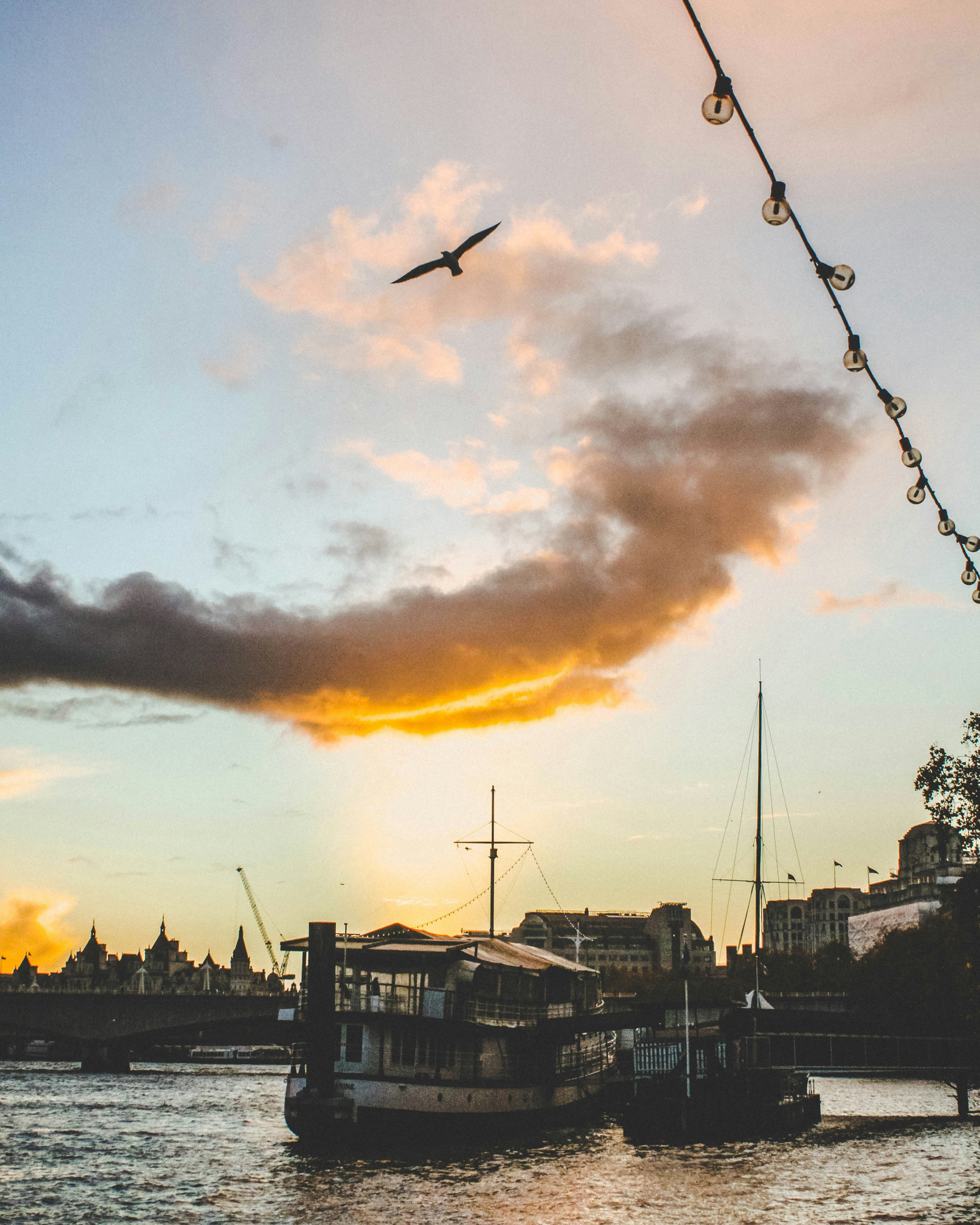 Photo by giorgiotrovato