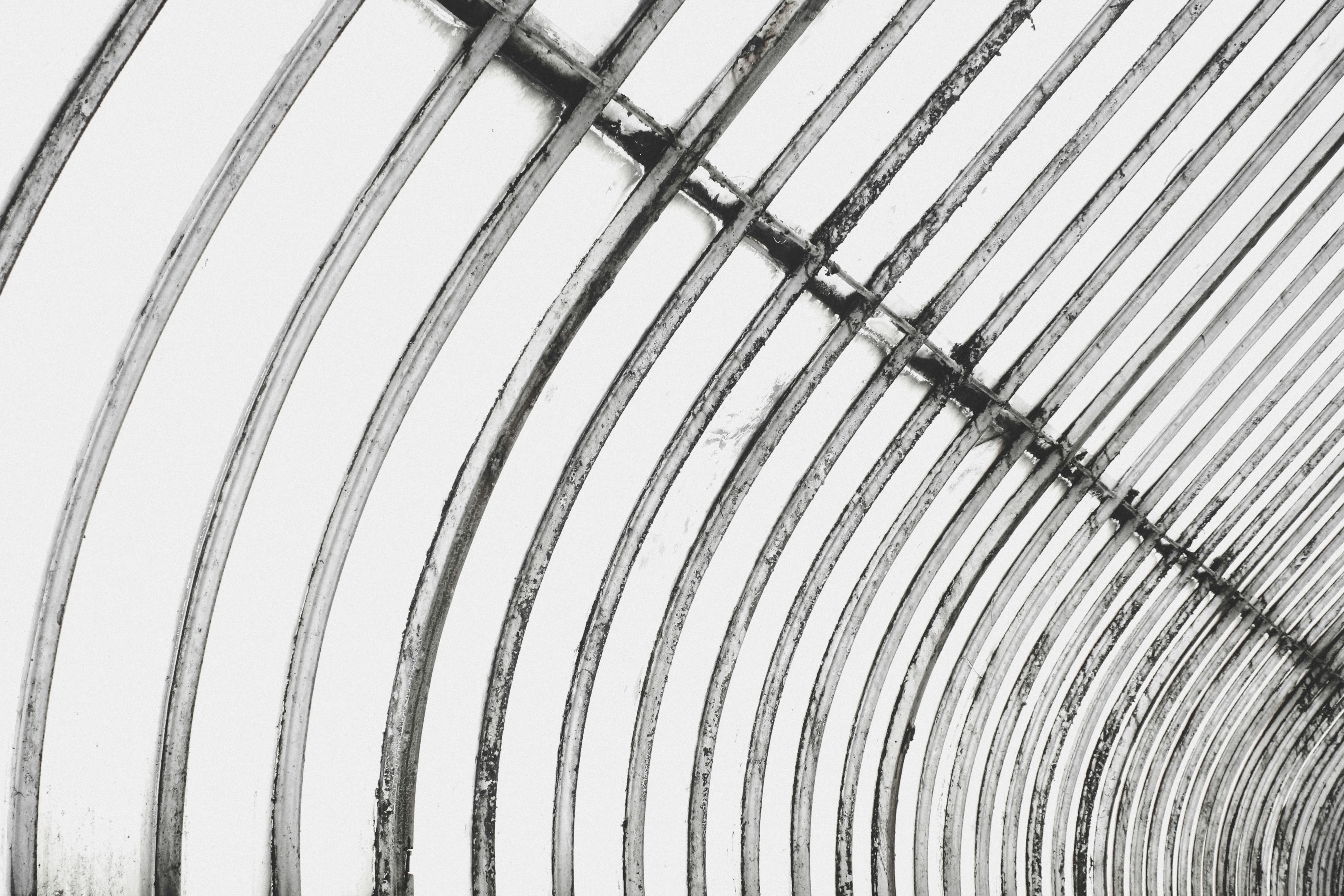 Photo by giorgiotrovato