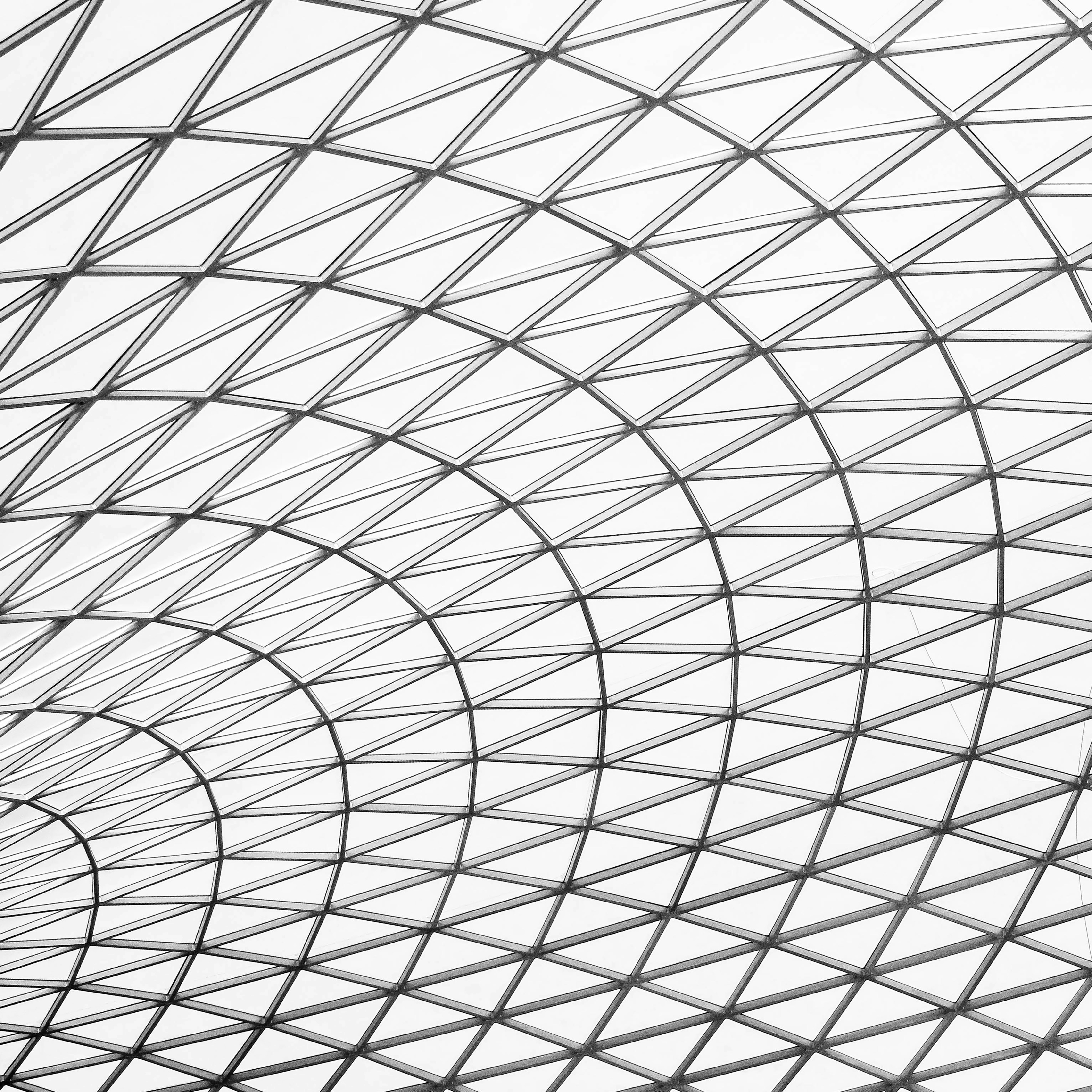 Photo by giorgiotrovato